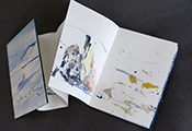 Peinture contemporaine par Marie-Claude Bohnenblust Lenglart Peintre Plasticien